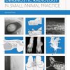 Diagnostic Radiology in Small Animal Practice 2nd Edition (Original PDF from Publisher)