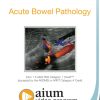 AIUM Point-of-Care Ultrasound Assessment of Acute Bowel Pathology (Videos)
