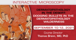 USCAP Dermatopathology in the Desert: Dodging Bullets in the Dermatopathology Wilderness 2021 (Videos)