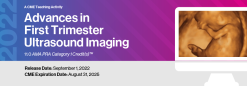 2022 Advances in First Trimester Ultrasound Imaging (Videos)