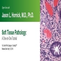 2019 Expert Series with Jason L. Hornick, M.D., Ph.D. Soft Tissue Pathology A One-On-One Tutorial (Videos)