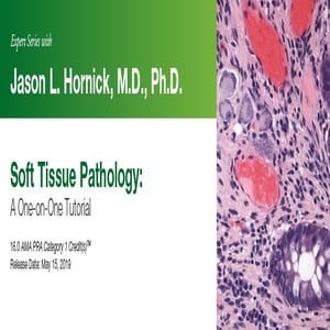 2019 Expert Series with Jason L. Hornick, M.D., Ph.D. Soft Tissue Pathology A One-On-One Tutorial (Videos)