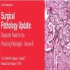2019 Surgical Pathology Update Diagnostic Pearls for the Practicing Pathologist Vol. III (Videos)