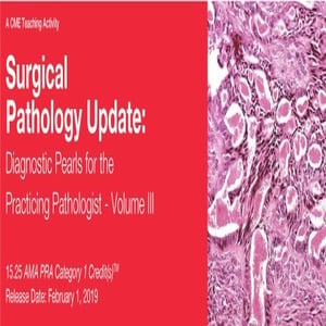 2019 Surgical Pathology Update Diagnostic Pearls for the Practicing Pathologist Vol. III (Videos)