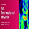 2020 Stroke Imaging and Intervention (Videos)