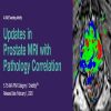 2020 Updates in Prostate MRI with Pathology Correlation (Videos)