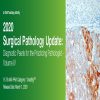 2020 Surgical Pathology Update: Diagnostic Pearls for the Practicing Pathologist Vol. IV (Videos)