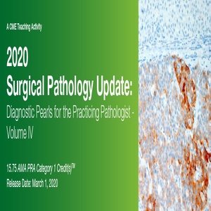 2020 Surgical Pathology Update: Diagnostic Pearls for the Practicing Pathologist Vol. IV (Videos)