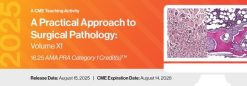 2025 A Practical Approach to Surgical Pathology Volume XI (Videos)