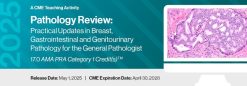 2025 Pathology Review: Practical Updates in Breast, Gastrointestinal and Genitourinary Pathology for the General Pathologist (Videos)