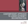 Contemporary Approach to Lower Extremity Reconstruction, An Issue of Clinics in Plastic Surgery (Original PDF from Publisher)