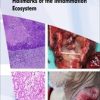 Head and Neck Cancer: Hallmarks of the Inflammation Ecosystem (Original PDF from Publisher)