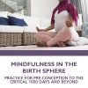 Mindfulness in the Birth Sphere (Original PDF from Publisher)