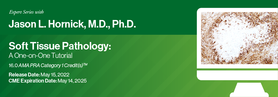 Expert Series with Jason L. Hornick, M.D., Ph.D.: Soft Tissue Pathology: A One-On-One Tutorial 2022 (Videos)