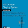 AJCC Cancer Staging System: Neuroendocrine Tumors of the Colon and Rectum (Version 9 of the AJCC Cancer Staging System) (Original PDF from Publisher)