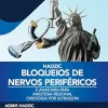 Bloqueios de Nervos Periféricos e Anatomia para Anestesia Regional Orientada por Ultrassom (Portuguese Edition) (EPUB)