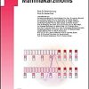 Therapie des primären Mammakarzinoms (UNI-MED Science) (German Edition) (Original PDF from Publisher)