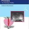 Ressonância Magnética da Próstata: Uma abordagem Prática (Original PDF from Publisher)
