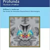 Estimulação Cerebral Profunda: Técnicas e Práticas (Original PDF from Publisher)