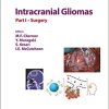 Intracranial Gliomas Part I – Surgery (Progress in Neurological Surgery, Vol. 30) 1st Edition (Original PDF from Publisher)