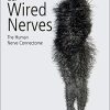 Our Wired Nerves: The Human Nerve Connectome (Original PDF from Publisher)