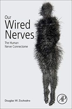 Our Wired Nerves: The Human Nerve Connectome (Original PDF from Publisher)