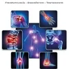 Dolor agudo. Fisiopatología-Diagnóstico-Tratamiento (Spanish Edition) (EPUB)