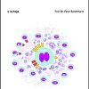 Das Hodgkin-Lymphom (UNI-MED Science) (German Edition), 2nd Edition (Original PDF from Publisher)