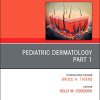Pediatric Dermatology, An Issue of Dermatologic Clinics, E-Book (The Clinics: Internal Medicine) (Original PDF from Publisher)