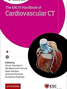 EACVI Handbook of Cardiovascular CT (The European Society of Cardiology Series) (ePub)