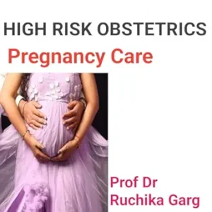 HIGH RISK OBSTETRICS: Protocols for Healthcare Practitioners (EPUB)