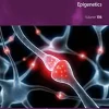 Epigenetics: International Review of Neurobiology, Volume 156 (EPUB)