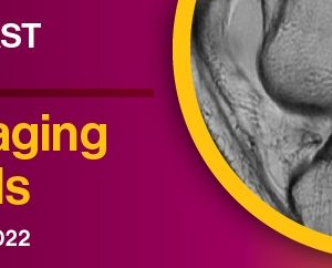 Knee Imaging Essentials 2022 (Videos)