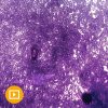 Cytopathology 2022 (Videos)