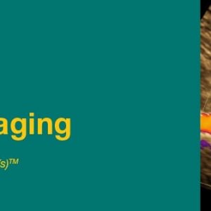 2019 Noninvasive Vascular Imaging (Videos)