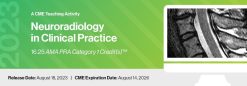 2023 Neuroradiology in Clinical Practice – DocMedED (Videos)