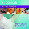Wound Care Essentials: Practice Principles, Fourth Edition (EPUB)