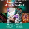 Emergency Department Resuscitation of the Critically Ill, 2nd Edition: A Crash Course in Critical Care (EPUB)