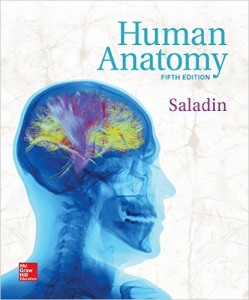 Human Anatomy, 5th Edition (Saladin)