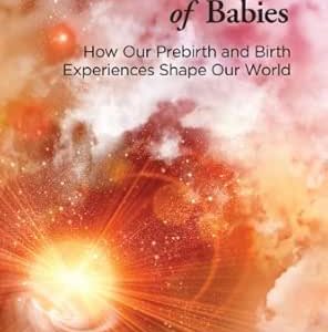 The Secret Life of Babies: How Our Prebirth and Birth Experiences Shape Our World (EPUB)