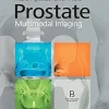Prostate: Multimodal Imaging (EPUB)
