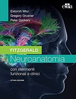 Fitzgerald – Neuroanatomia: VIII edizione (Italian Edition) (EPUB)