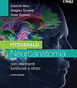 Fitzgerald – Neuroanatomia: VIII edizione (Italian Edition) (EPUB)