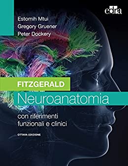 Fitzgerald – Neuroanatomia: VIII edizione (Italian Edition) (EPUB)