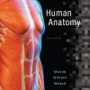 Human Anatomy (8th Edition) (Marieb)