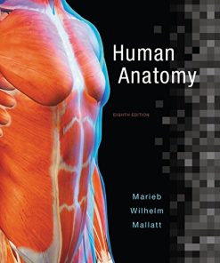 Human Anatomy (8th Edition) (Marieb)
