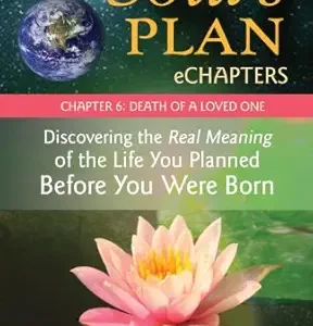 Your Soul’s Plan eChapters – Chapter 6: Death of a Loved One: Discovering the Real Meaning of the Life You Planned Before You Were Born (EPUB)