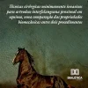 Técnicas cirúrgicas minimamente invasivas para artrodese interfalangeana proximal em equinos, uma comparação das propriedades biomecânicas entre dois procedimentos (Portuguese Edition) (EPUB)