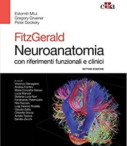 Fitzgerald Neuroanatomia: con riferimenti funzionali e clinici (Italian Edition) (Settima Edizione) (EPUB)