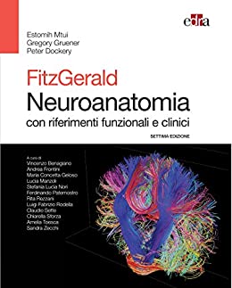 Fitzgerald Neuroanatomia: con riferimenti funzionali e clinici (Italian Edition) (Settima Edizione) (EPUB)